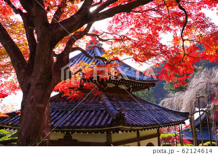 善峯寺の紅葉 62124614