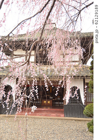 典厩寺境内の閻魔堂と枝垂桜 62129189