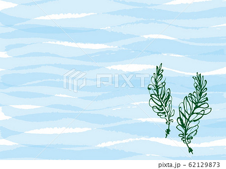 わかめ 波 背景 水彩画 わかめ 波 背景 水彩画 62129873