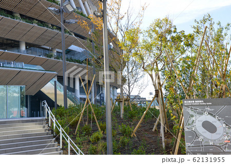 国立競技場 国立競技場 62131955