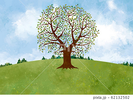 草原 丘 大地 緑 景色 青空 空 自然 背景 水彩 手描き 青空 空 大木 樹木 木のイラスト素材