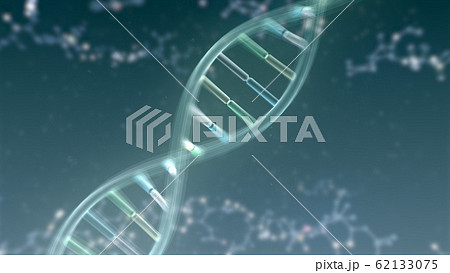 DNA 遺伝子 染色体 二重らせん バイオ 医療 科学 テクノロジー 背景 バックグラウンド 62133075