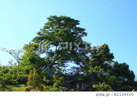 風景 観光 風 62134310