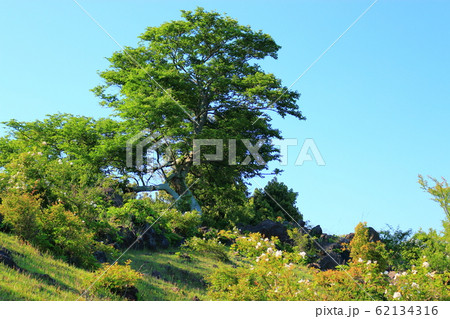 風景 観光 風 62134316