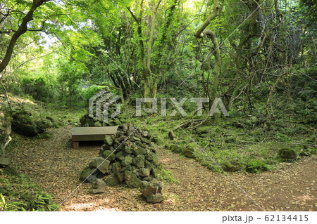 風景 観光 風 62134415