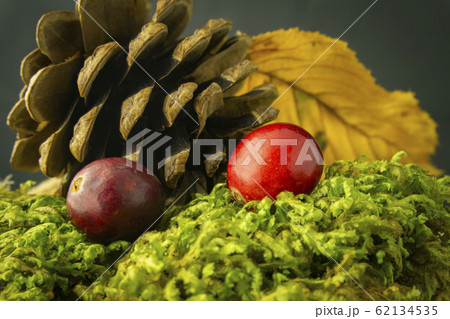 Autumn still life with two red berries and leaf 62134535
