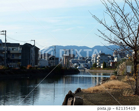 冬の江ノ口川 冬の江ノ口川 62135419