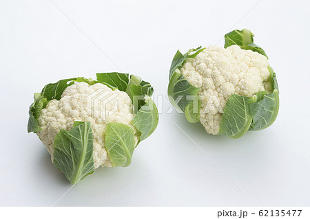 泉南カリフラワー 泉南カリフラワー 62135477