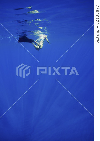 小笠原の海で泳ぐ女性 62135877