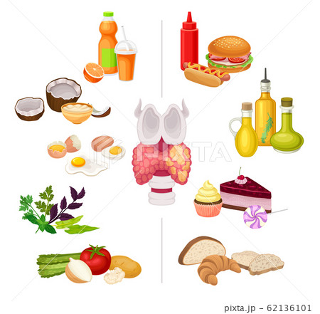 Thyroid Nutrition Vector Set Good And Bad Food のイラスト素材