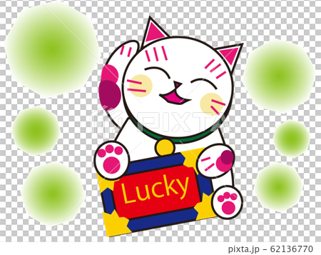 Good luck sign cat 62136770