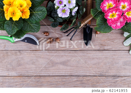 Gardening tools and flowers Gardening tools and flowers 62141955