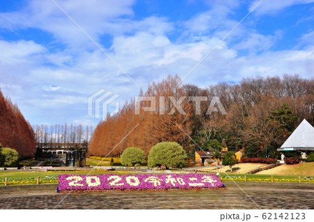 神奈川県立相模原公園　フランス式庭園とメタセコイヤ並木 62142123
