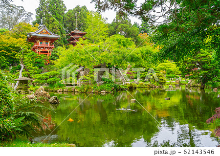 Beautiful view of Japanese Tea Garden in Golden Beautiful view of Japanese Tea Garden in Golden 62143546