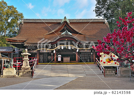 【道明寺天満宮の梅】 (深度合成) 大阪府藤井寺市道明寺１ 62143598