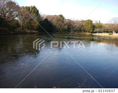 池の氷 池の氷 62143637