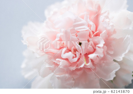 カーネーション(造花) カーネーション(造花) 62143870