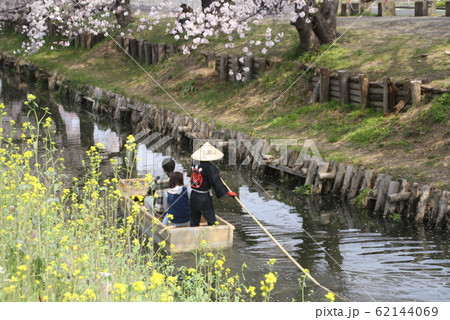 川越の菜の花 62144069