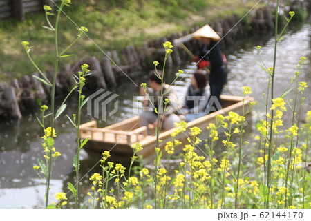 川越の新河岸川と菜の花 62144170