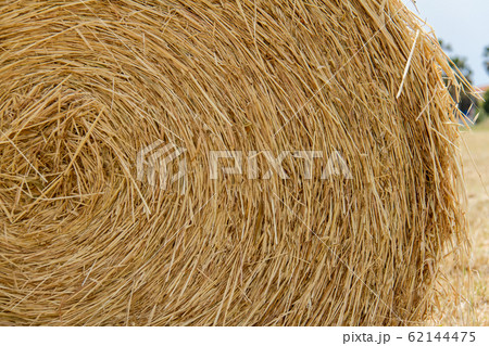 Single Hay Bale in a field in Paphos, Cyprus Single Hay Bale in a field in Paphos, Cyprus 62144475