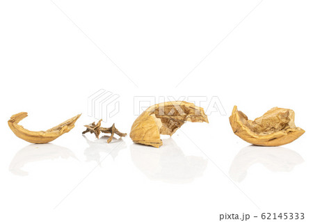 Brown tasty walnut isolated on white Brown tasty walnut isolated on white 62145333