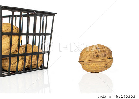 Brown tasty walnut isolated on white Brown tasty walnut isolated on white 62145353
