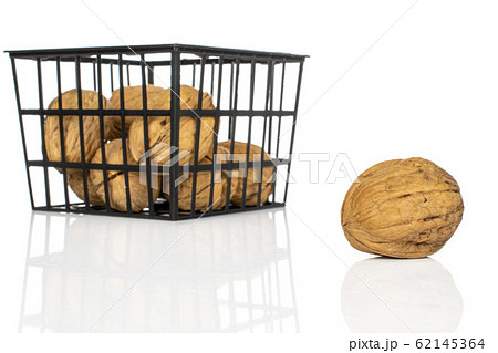 Brown tasty walnut isolated on white Brown tasty walnut isolated on white 62145364