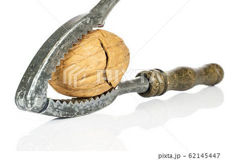 Brown tasty walnut isolated on white 62145447