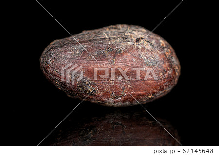 Brown cocoa bean isolated on black glass Brown cocoa bean isolated on black glass 62145648