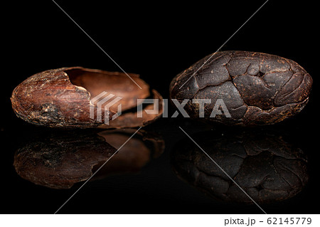 Brown cocoa bean isolated on black glass 62145779