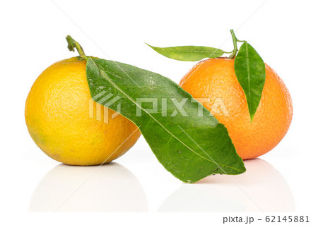 Fresh orange mandarin isolated on white Fresh orange mandarin isolated on white 62145881