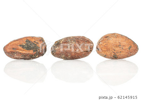 Brown cocoa bean isolated on white 62145915