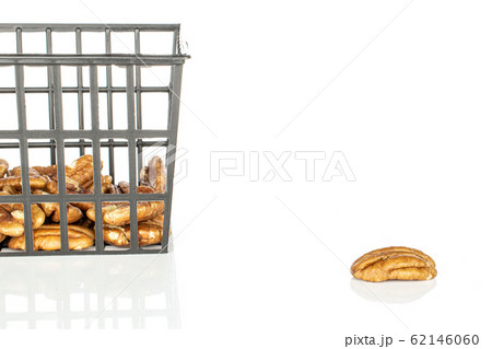 Brown pecan nut isolated on white 62146060