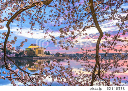 Washington, DC at the Tidal Basin and Jefferson Washington, DC at the Tidal Basin and Jefferson 62146538