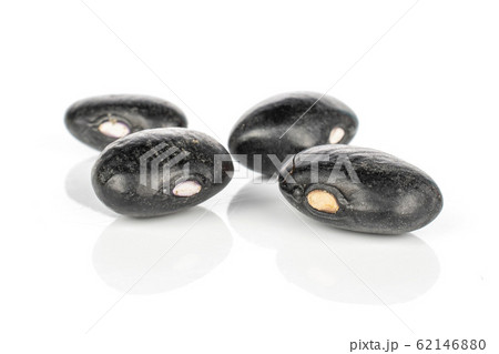 Dried black bean isolated on white Dried black bean isolated on white 62146880