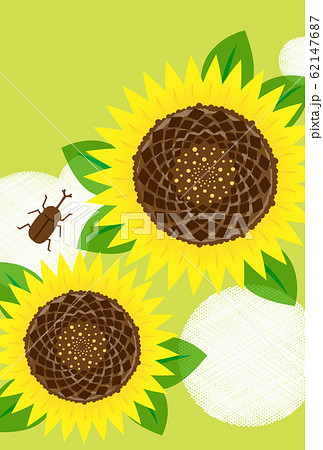 暑中お見舞い3（文字なし） 62147687