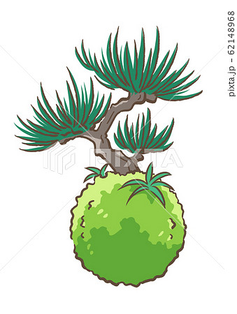 苔玉＿松 62148968