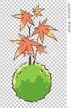 青苔ball_autumn葉子 62148970
