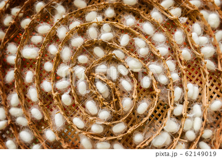 Silkworm nest capsules industry farm. Silkworm nest capsules industry farm. 62149019