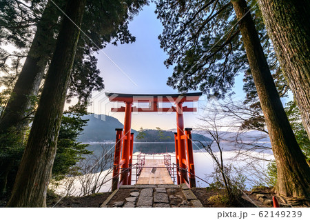 箱根神社 平和の鳥居 早朝 箱根神社 平和の鳥居 早朝 62149239