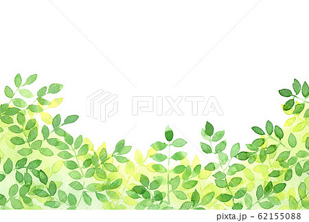 背景_水彩梢_ハガキ横 62155088