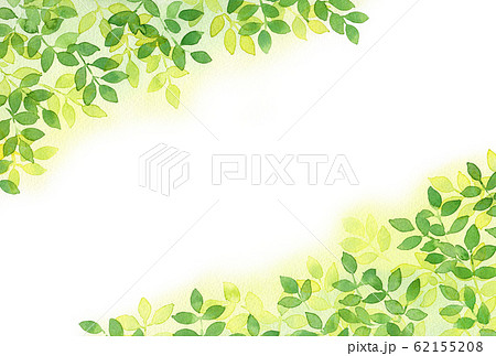 背景_水彩梢_ハガキ横フレーム 62155208
