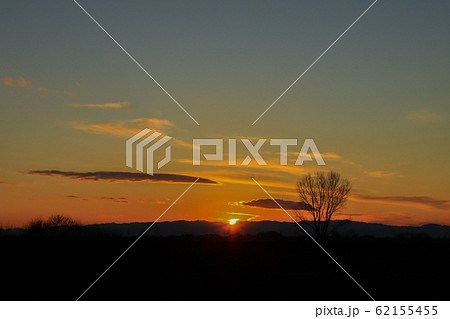 木と夕陽 木と夕陽 62155455