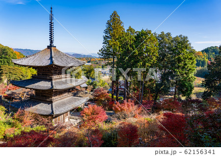 滋賀県 湖南三山の一つ 紅葉の美しい常楽寺の三重塔 滋賀県 湖南三山の一つ 紅葉の美しい常楽寺の三重塔 62156341