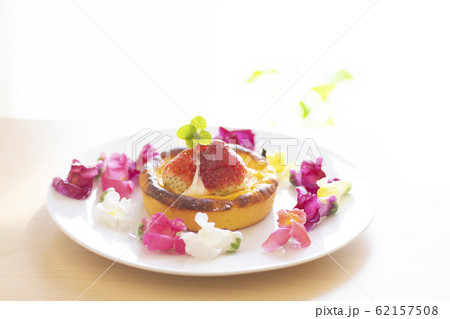エディブルフラワー 食用花 花 エディブル タルト 料理 食べ物 フード カラフルの写真素材