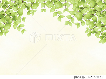 背景 緑の木々のイラスト素材
