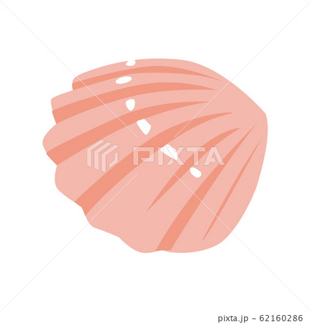 砂浜に落ちているピンク色の可愛い貝殻のイラスト のイラスト素材