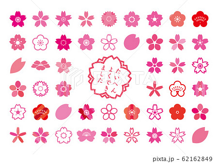 桜と梅のアイコン 62162849