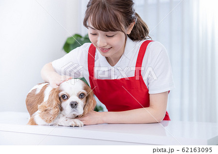 女性　トリマー 62163095