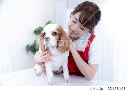 女性　トリマー 62163103